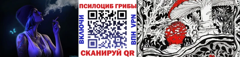 Купить где  Кушва  Галлюциногенные грибы Magic Shrooms 